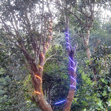 הוילה ויטירי Tree6 Wayanad מראה חיצוני תמונה