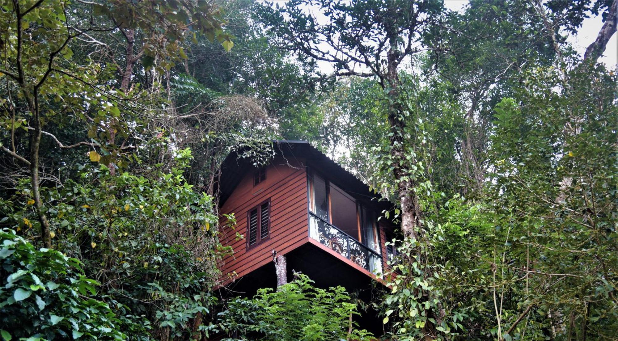 הוילה ויטירי Tree6 Wayanad מראה חיצוני תמונה